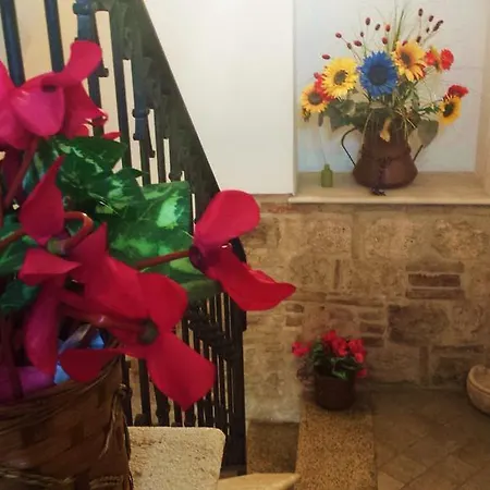 Il Ciclamino Bed&Breakfast-3